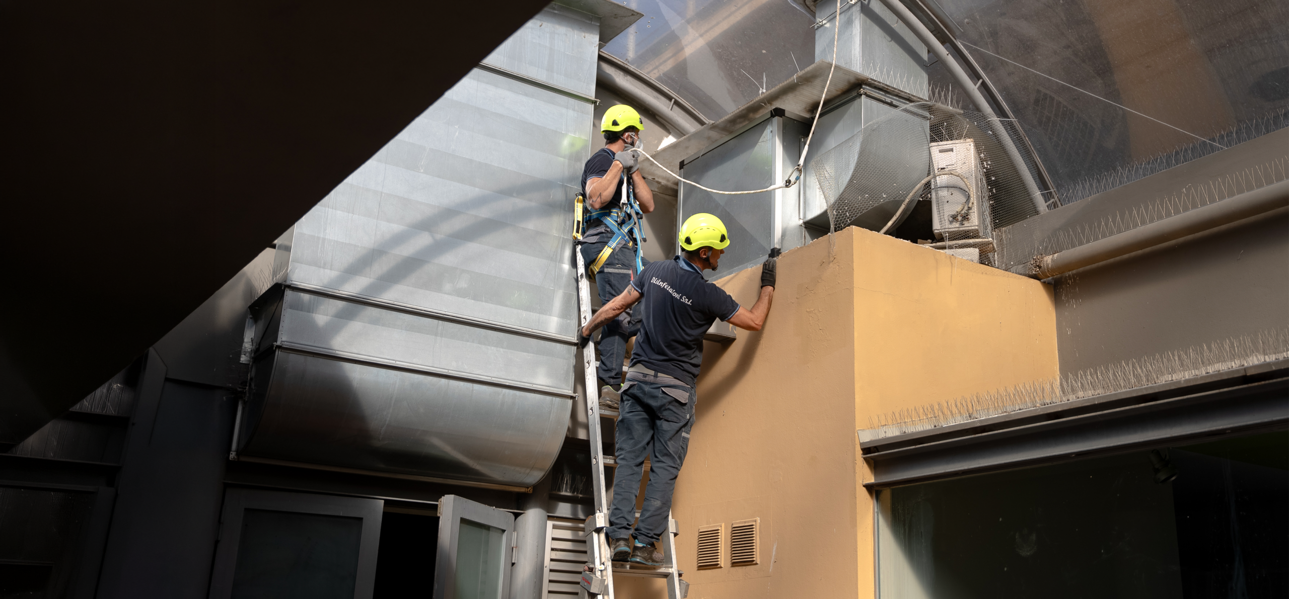 Allontanamento volatili: proteggere aziende e impianti con interventi mirati