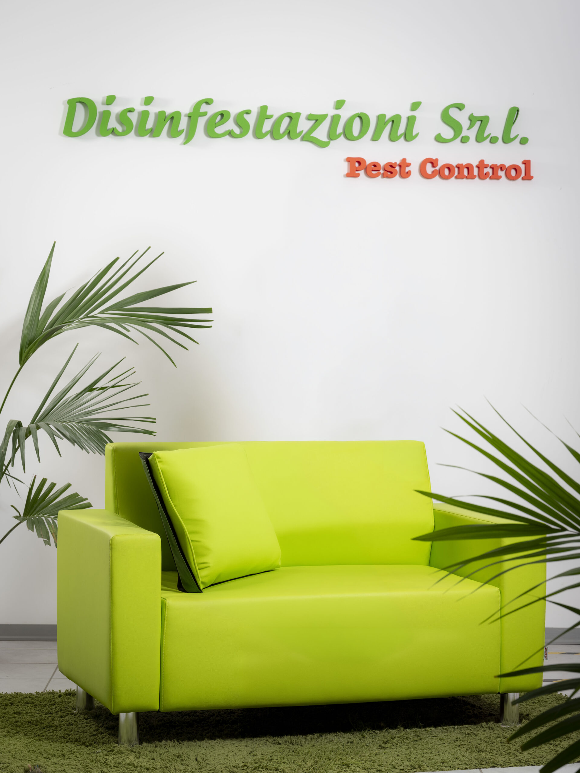 divano-verde-con-logo