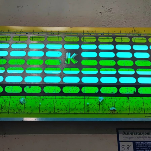 Monitoraggio insetti alati per imprese alimentari