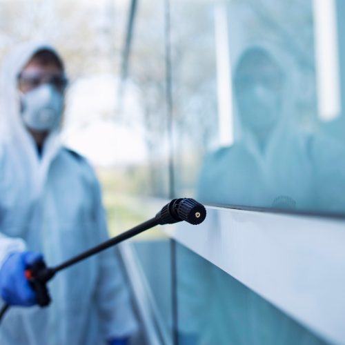 IPM – Integrated Pest management